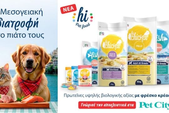 Pet City Trofi Hi